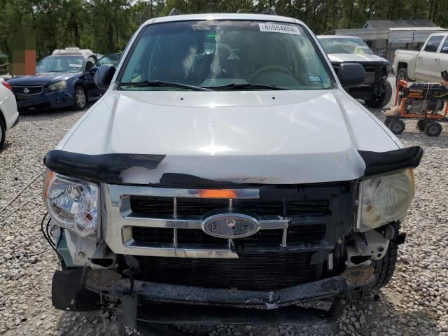 2008 Ford Escape XLT