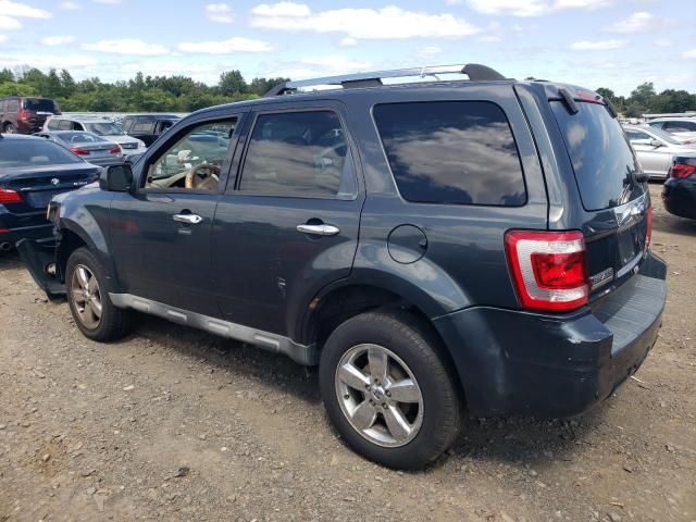 2009 Ford Escape Limited