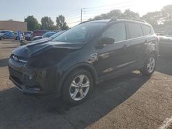 Salvage cars for sale at Moraine, OH auction: 2016 Ford Escape SE