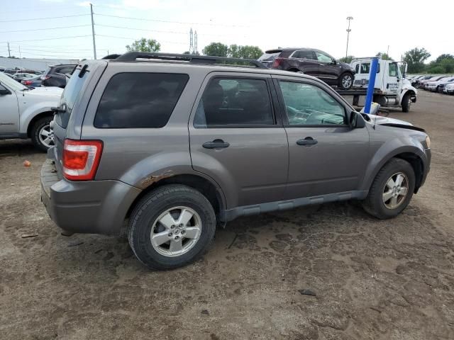 2010 Ford Escape XLT