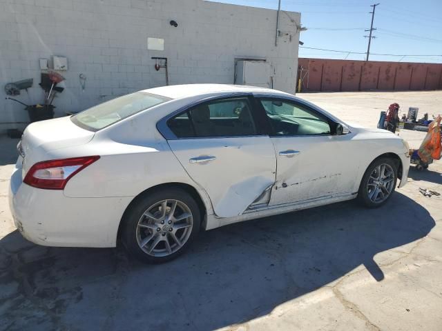 2009 Nissan Maxima S