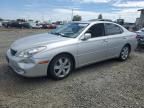 2005 Lexus ES 330