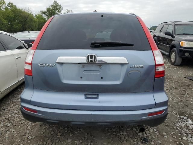 2010 Honda CR-V EXL