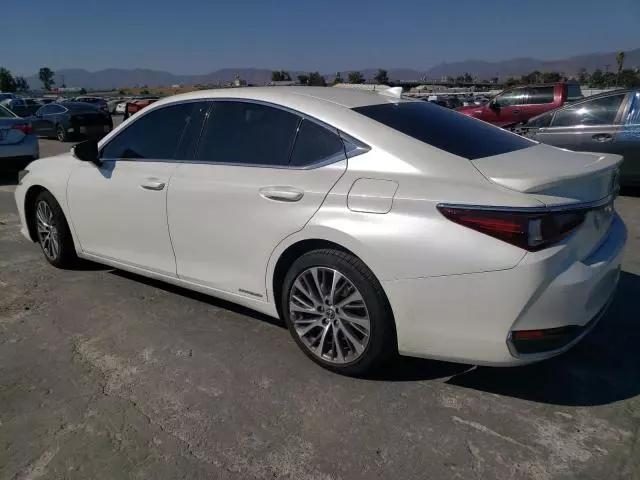 2021 Lexus ES 300H