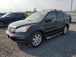 Carros con verificación Run & Drive a la venta en subasta: 2010 Honda CR-V LX