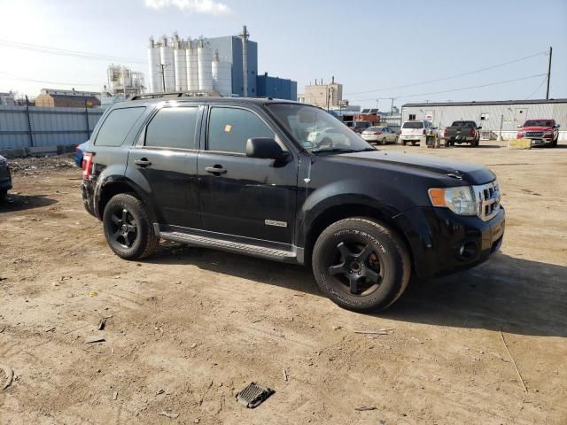 2008 Ford Escape XLT