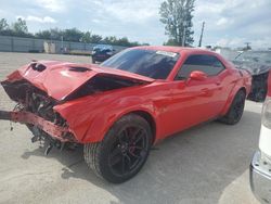 Dodge Challenger salvage cars for sale: 2019 Dodge Challenger R/T Scat Pack