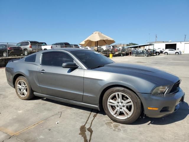 2010 Ford Mustang