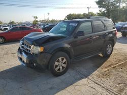 Ford salvage cars for sale: 2011 Ford Escape Limited