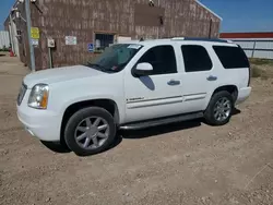 GMC salvage cars for sale: 2007 GMC Yukon Denali