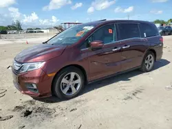 2019 Honda Odyssey EXL en venta en Homestead, FL