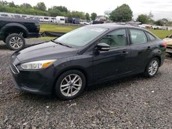 Salvage cars for sale at Hillsborough, NJ auction: 2015 Ford Focus SE