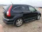 2010 Honda CR-V EXL