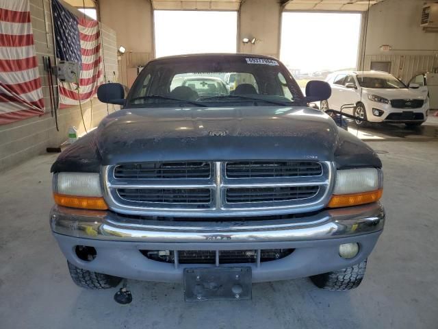 2000 Dodge Dakota Quattro