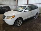 2009 Hyundai Santa FE SE