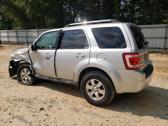 2011 Ford Escape Limited