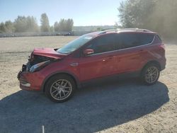 Ford Escape salvage cars for sale: 2013 Ford Escape Titanium