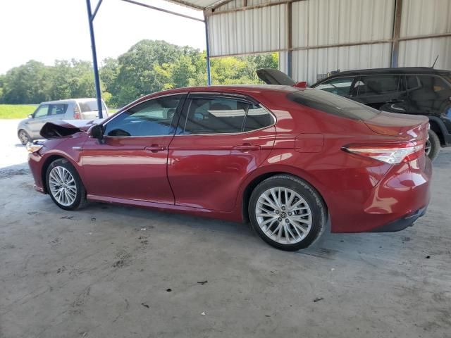 2020 Toyota Camry XLE