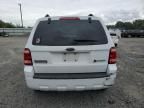 2008 Ford Escape HEV