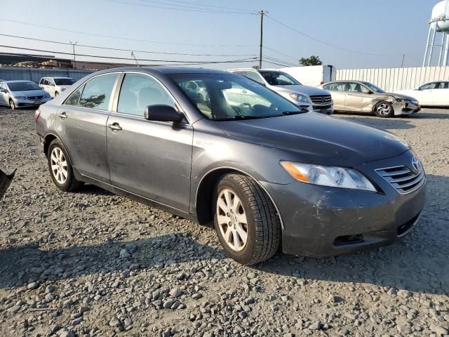 2007 Toyota Camry Hybrid