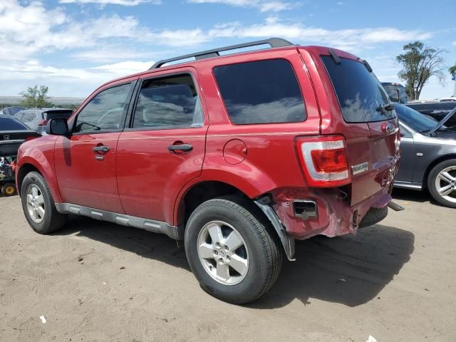 2010 Ford Escape XLT