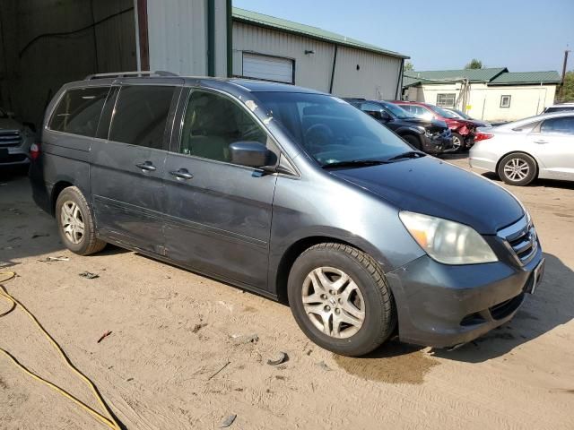 2005 Honda Odyssey EXL