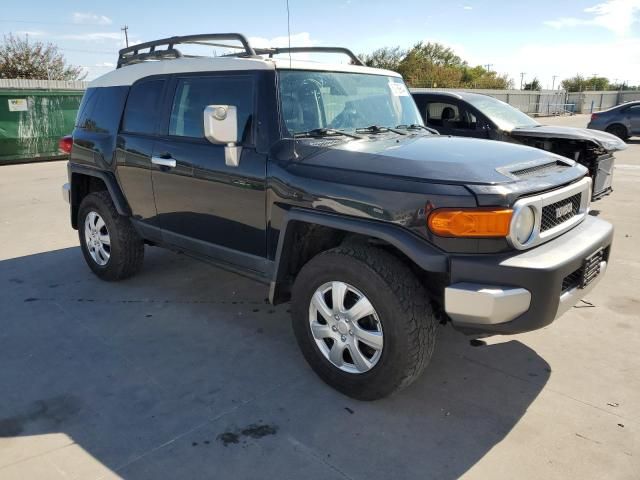 2007 Toyota FJ Cruiser