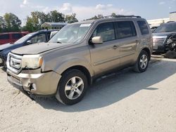 Salvage cars for sale at Spartanburg, SC auction: 2011 Honda Pilot EXL