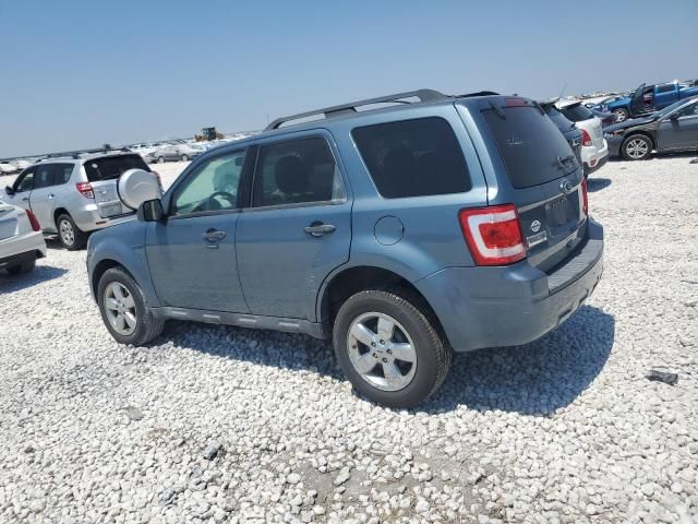 2010 Ford Escape XLT