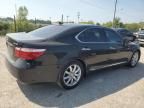 2008 Lexus LS 460