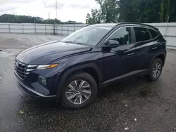 Vehiculos salvage en venta de Copart Dunn, NC: 2024 Hyundai Tucson Blue