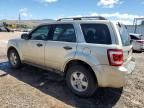 2011 Ford Escape XLS