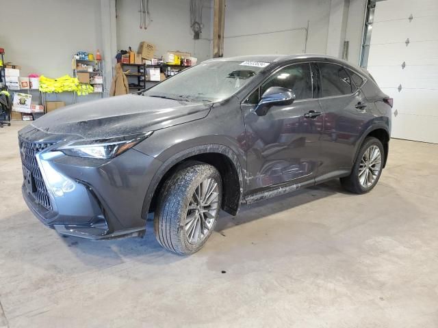 2022 Lexus NX 350H