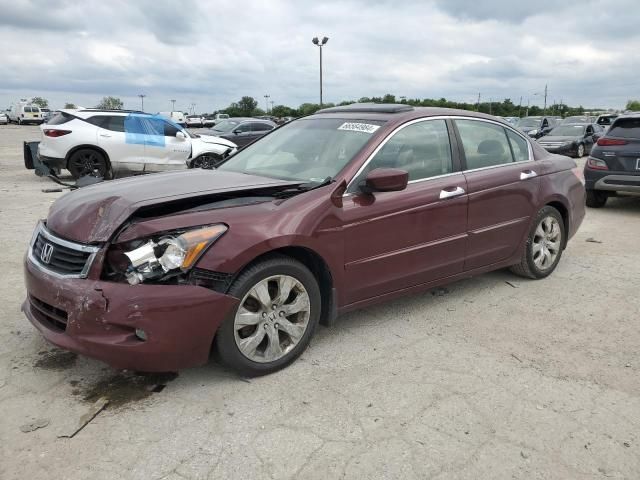 2009 Honda Accord EXL