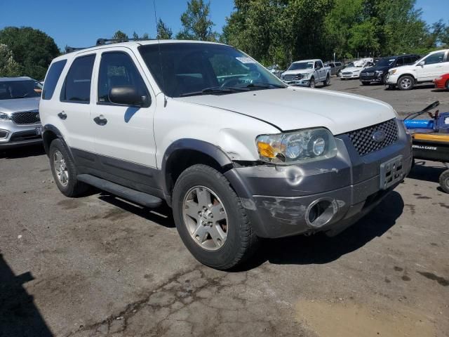 2005 Ford Escape XLT