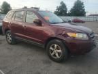 2007 Hyundai Santa FE GLS