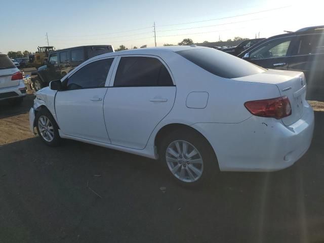 2010 Toyota Corolla Base