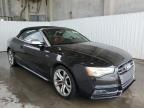 2013 Audi S5 Prestige