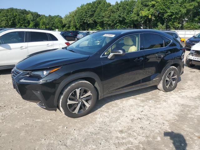 2018 Lexus NX 300H