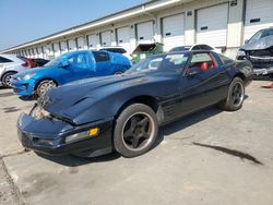 Chevrolet Corvette salvage cars for sale: 1992 Chevrolet Corvette