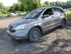 Salvage cars for sale from Copart New Britain, CT: 2011 Honda CR-V EXL