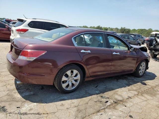 2010 Honda Accord EXL