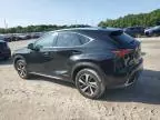 2018 Lexus NX 300H