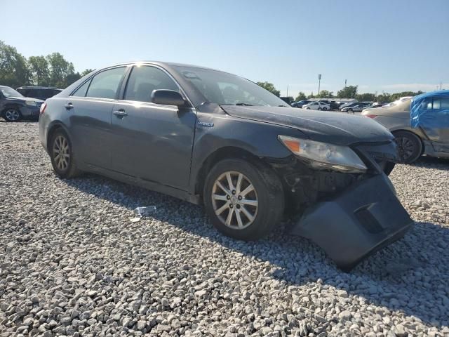 2010 Toyota Camry Hybrid