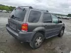 2003 Ford Escape XLT