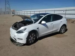 Salvage cars for sale at Adelanto, CA auction: 2020 Tesla Model Y