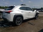 2021 Lexus UX 250H