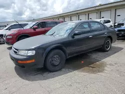 1998 Nissan Maxima GLE en venta en Louisville, KY