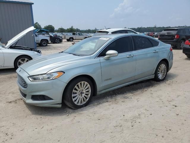 2013 Ford Fusion SE Hybrid