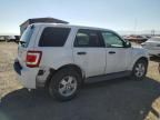 2009 Ford Escape XLS